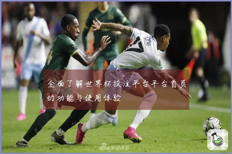 全面了解世界杯投注平台平台首页的功能与使用体验
