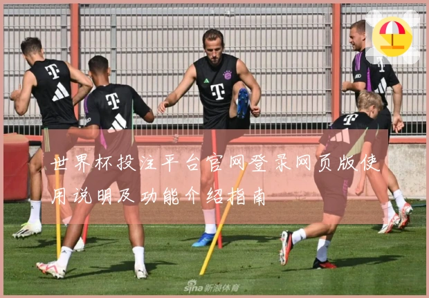 世界杯投注平台官网登录网页版使用说明及功能介绍指南