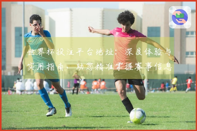 世界杯投注平台地址：深度体验与实用指南，助您精准掌握赛事信息