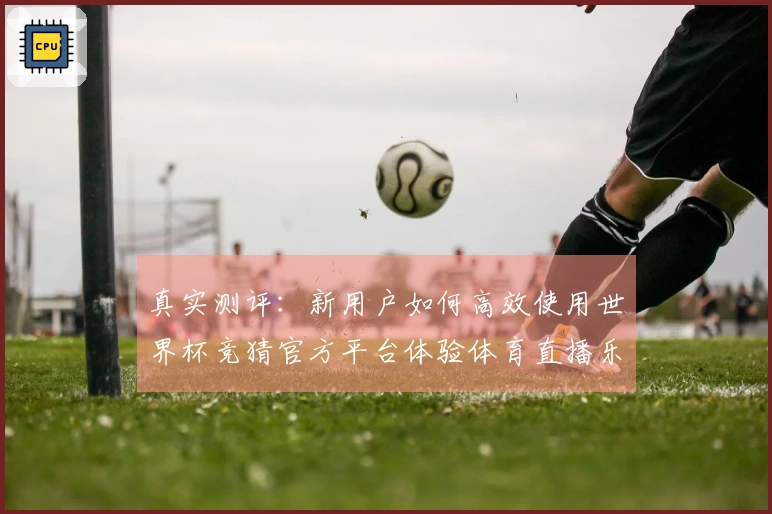 真实测评：新用户如何高效使用世界杯竞猜官方平台体验体育直播乐趣