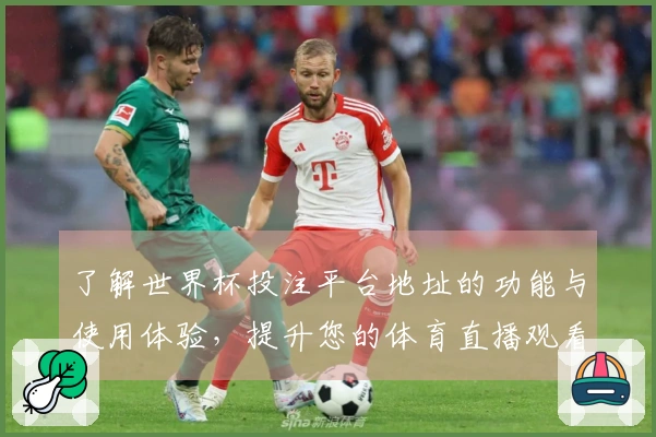 了解世界杯投注平台地址的功能与使用体验，提升您的体育直播观看乐趣