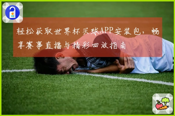 轻松获取世界杯买球APP安装包，畅享赛事直播与精彩回放指南