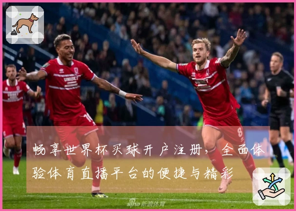 畅享世界杯买球开户注册，全面体验体育直播平台的便捷与精彩