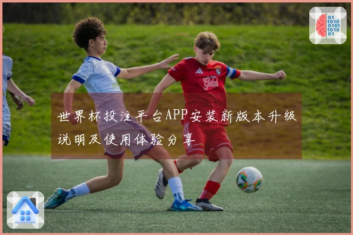 世界杯投注平台APP安装新版本升级说明及使用体验分享