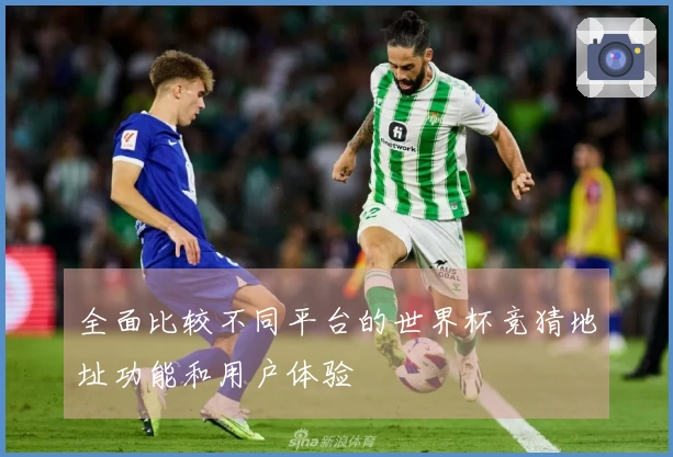 全面比较不同平台的世界杯竞猜地址功能和用户体验