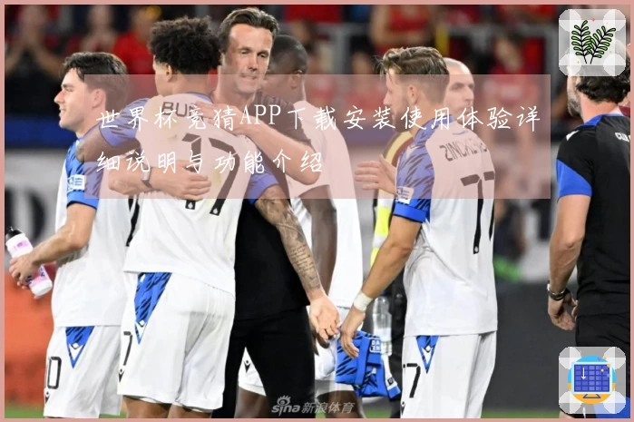 世界杯竞猜APP下载安装使用体验详细说明与功能介绍