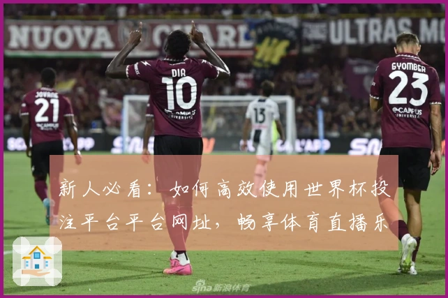 新人必看：如何高效使用世界杯投注平台平台网址，畅享体育直播乐趣