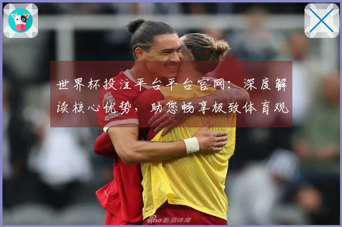 世界杯投注平台平台官网：深度解读核心优势，助您畅享极致体育观赛体验