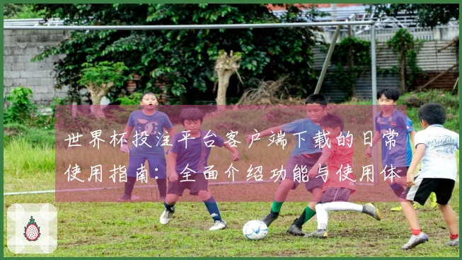 世界杯投注平台客户端下载的日常使用指南：全面介绍功能与使用体验