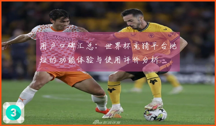用户口碑汇总：世界杯竞猜平台地址的功能体验与使用评价分析