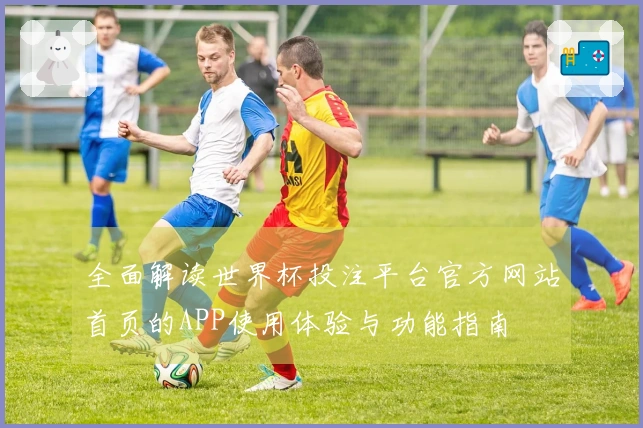 全面解读世界杯投注平台官方网站首页的APP使用体验与功能指南