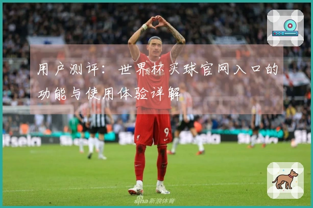 用户测评：世界杯买球官网入口的功能与使用体验详解