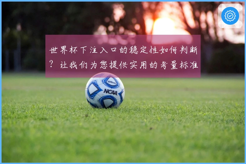 世界杯下注入口的稳定性如何判断？让我们为您提供实用的考量标准