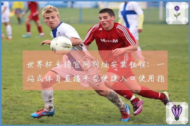 世界杯竞猜官网网址安装教程：一站式体育直播平台便捷入口使用指南