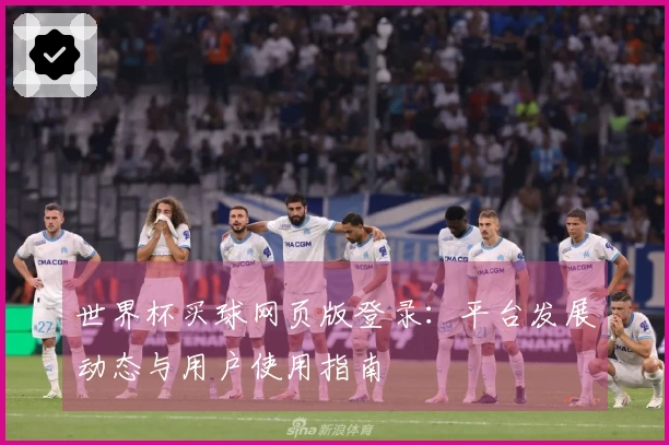 世界杯买球网页版登录：平台发展动态与用户使用指南