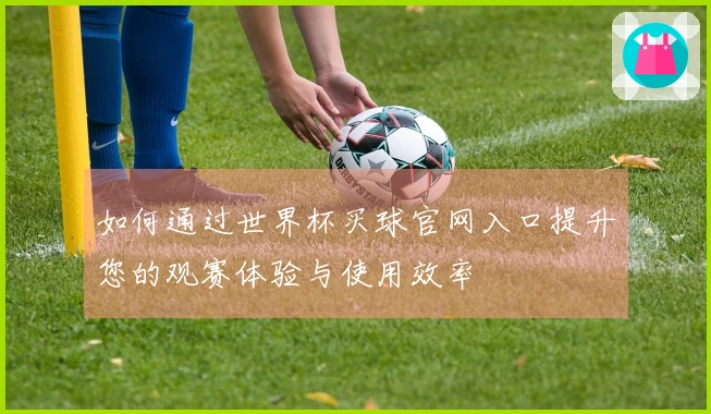 如何通过世界杯买球官网入口提升您的观赛体验与使用效率