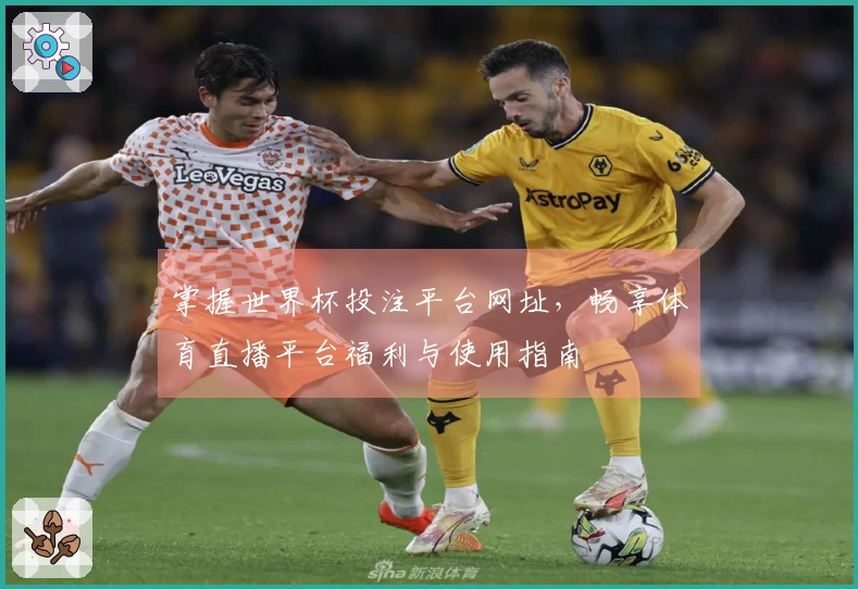掌握世界杯投注平台网址，畅享体育直播平台福利与使用指南