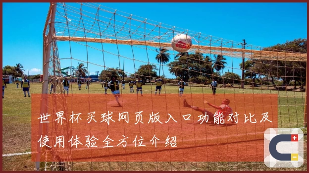 世界杯买球网页版入口功能对比及使用体验全方位介绍