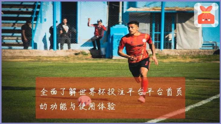全面了解世界杯投注平台平台首页的功能与使用体验