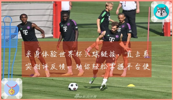 亲身体验世界杯买球链接，直击真实测评反馈，助你轻松掌握平台使用技巧