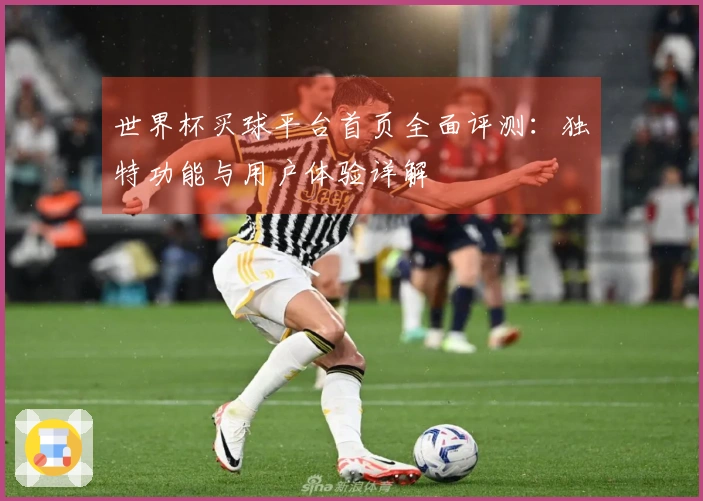 世界杯买球平台首页全面评测：独特功能与用户体验详解