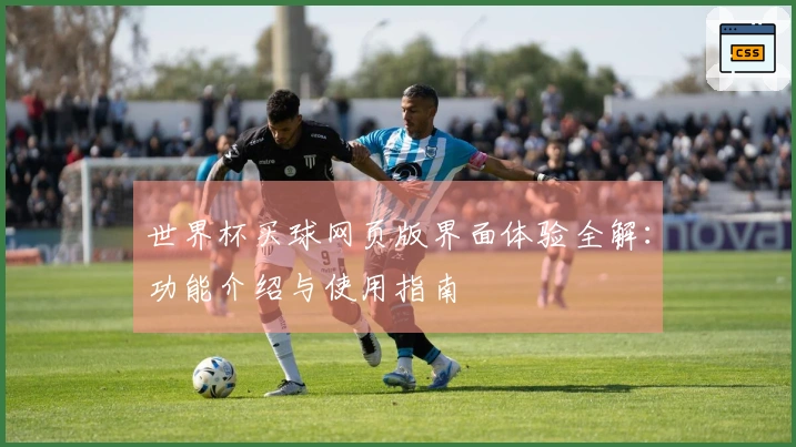 世界杯买球网页版界面体验全解：功能介绍与使用指南