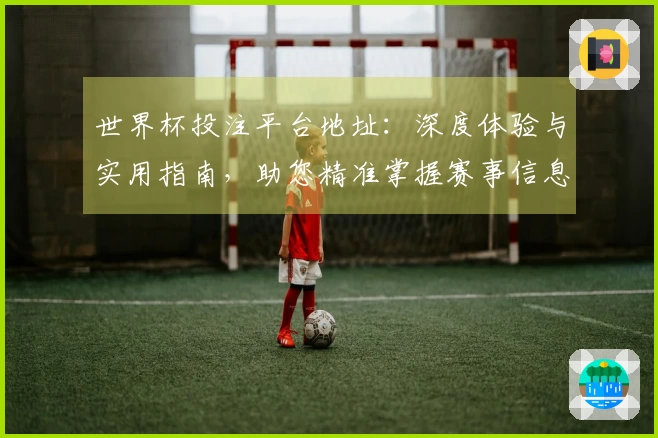 世界杯投注平台地址：深度体验与实用指南，助您精准掌握赛事信息