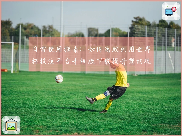 日常使用指南：如何高效利用世界杯投注平台手机版下载提升您的观赛体验